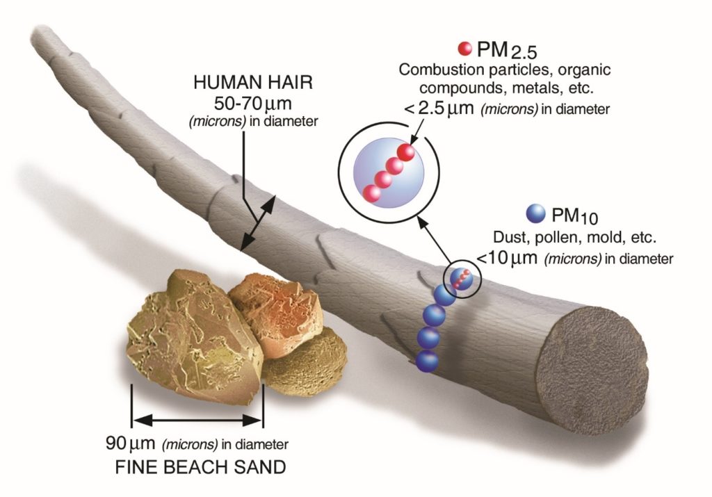 PM2.5 India