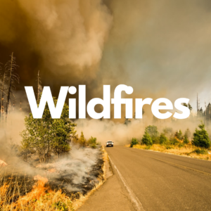 Wildfire information and articles