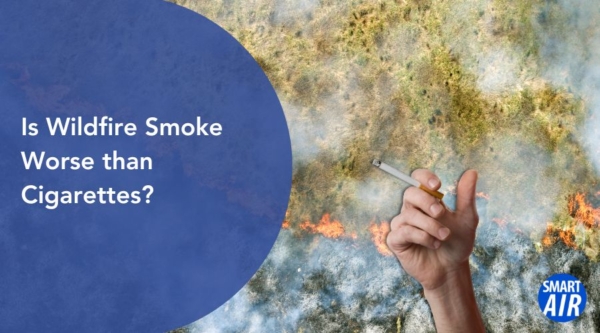 Is cigarette smoke worse than wildfire smoke?