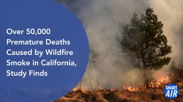 Over 50,000 Premature Deaths Caused by Wildfire Smoke in California, Study Finds