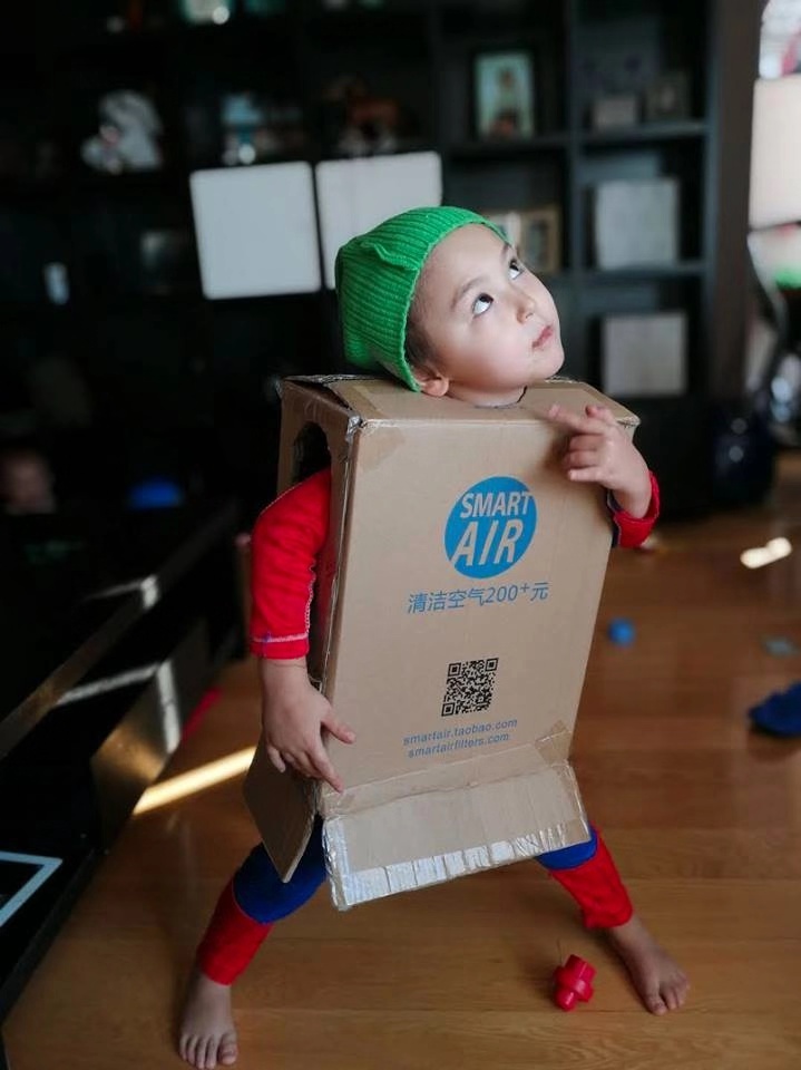 Smart Air cardboard packaging