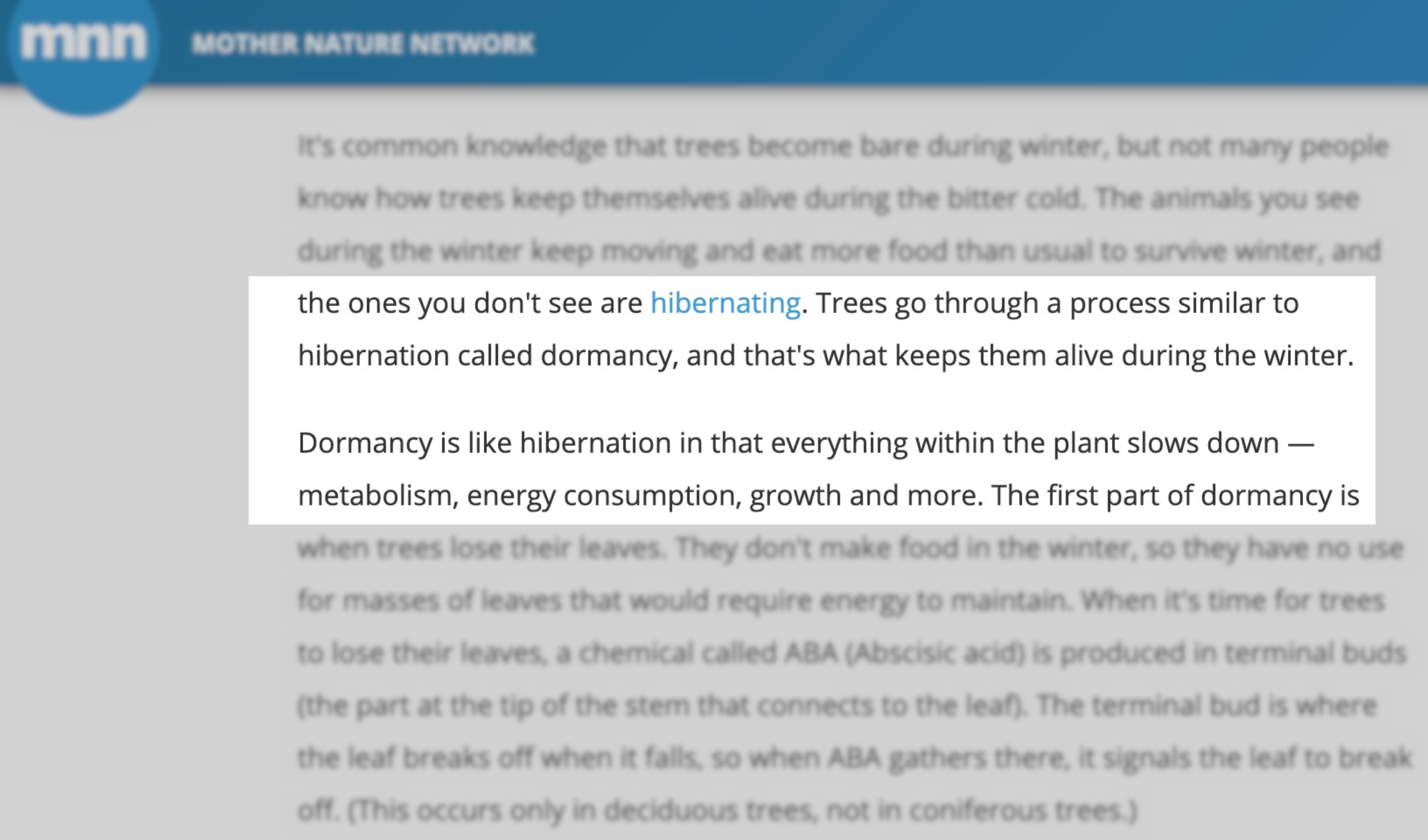 Trees less active in winter so less likely to clean and filter air pollution