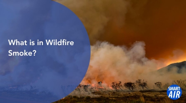 What is in Wildfire Smoke?