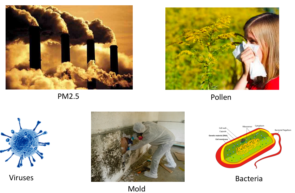 HEPA Filter PM2.5 pollen viruses mold bacteria