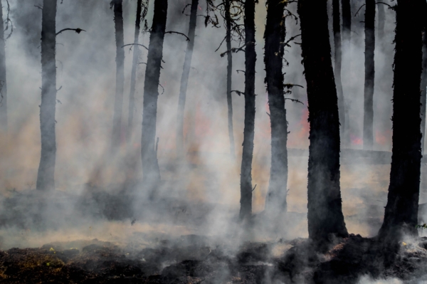 wildfire smoke and air pollution size pm2.5